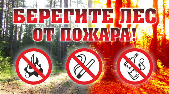 Жителям Стародубщины напомнили об ответственности за нарушение правил пожарной безопасности в лесах