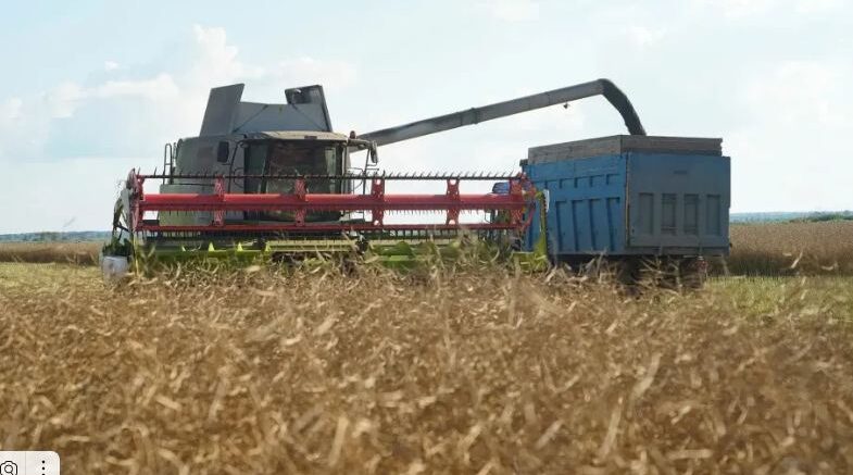Брянские аграрии начали уборку урожая