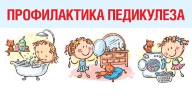 Жителям Стародубского округа рассказали о правилах профилактики педикулёза