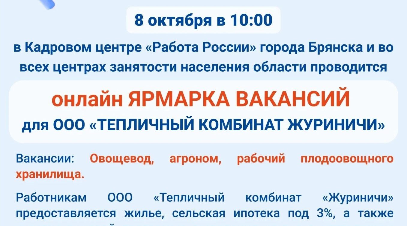 В Стародубском округе пройдёт онлайн ярмарка вакансий